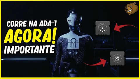 DESTINY 2 │ CORRE NA ADA 1 AGORA SUPER IMPORTANTE!