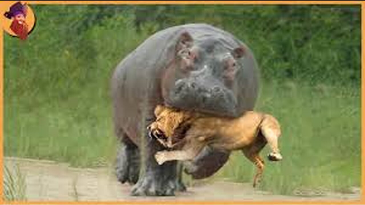 THR MOST BRUTAL AND RARE SCENES