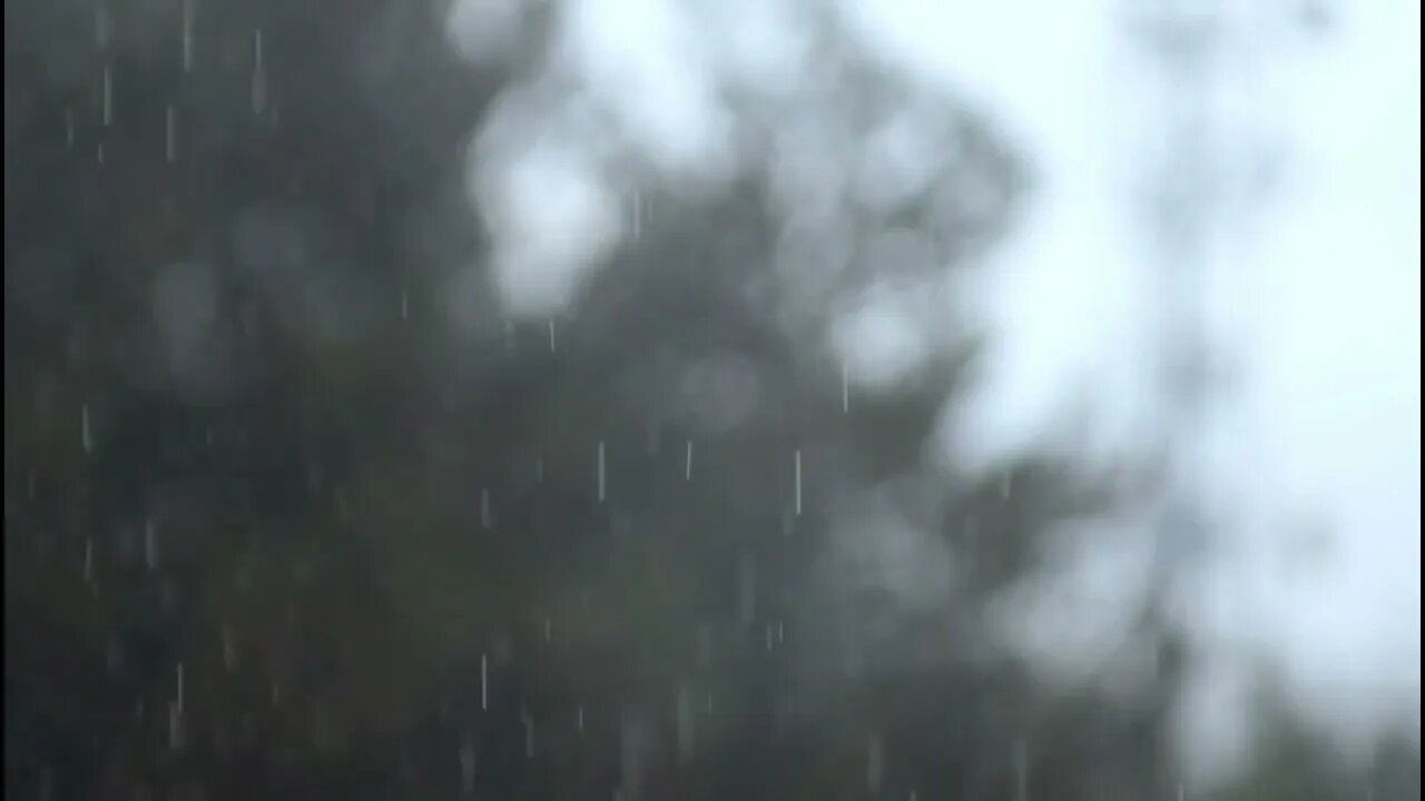 🎧🎼Weather ambient sounds rain noises - Thunderstorm - Sound of rain falling - Summer storm🎼🎧