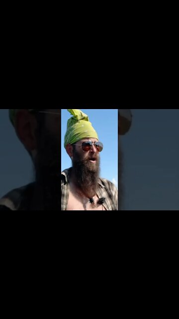 #skitsbystrangedanimal