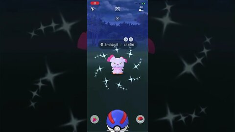 Shiny Compilation