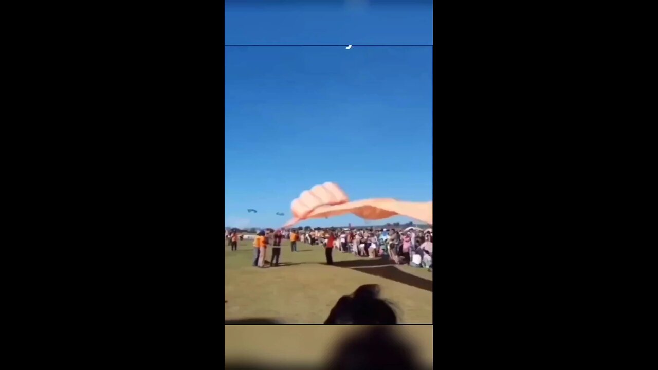 5 years old kid got floated with big kite in a big event