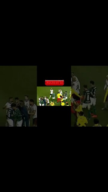 CONFUSÃO PALMEIRAS X FLAMENGO / GABIGOL E VIDAL PROTEGEM MATHEUSINHO!!!
