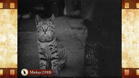 Mickey (1918) 🐱 Cat Movies 🎥🐈