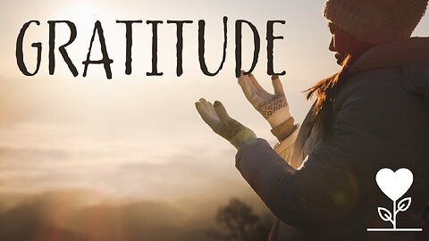 November 20, 2022 - GRATITUDE - Week 3