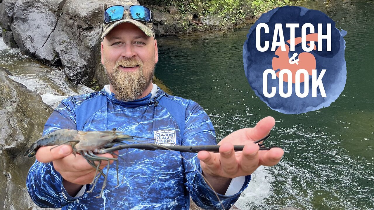 Chef Dad’s Catch and Cook Adventure: Spearing Prawns in the Rivers of Hawaii!