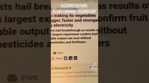 ۳۱ اوت ۲۰۲۲