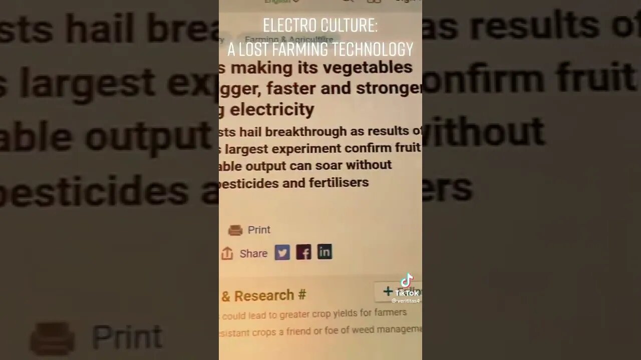 ۳۱ اوت ۲۰۲۲