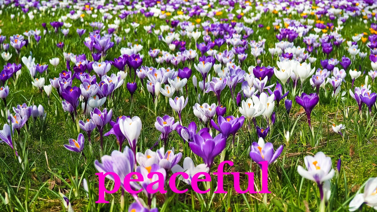 Deep Peaceful Music Description