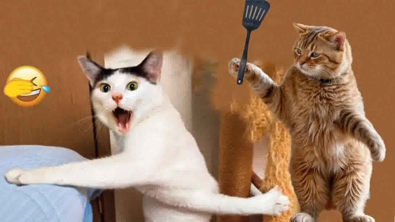 You Laugh You Lose😹Funniest Dogs and Cats 2024😹🐕