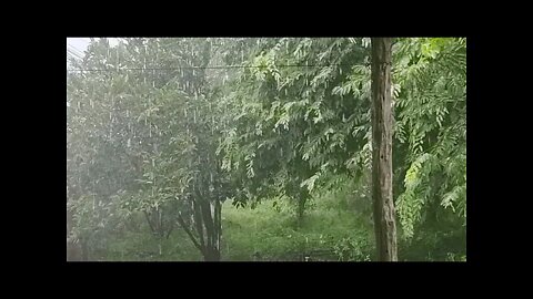 Chuva Ao Vivo nordeste