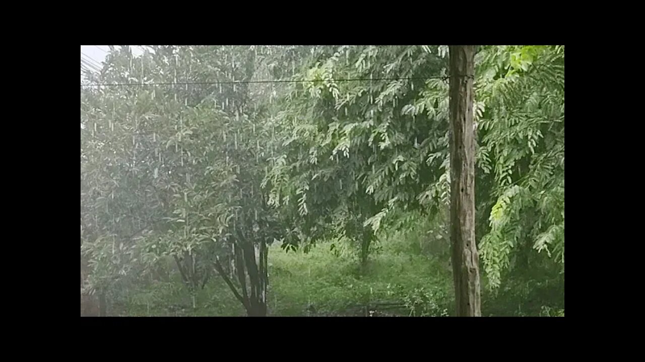 Chuva Ao Vivo nordeste