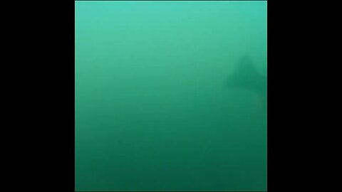 dropping a camera under the dam