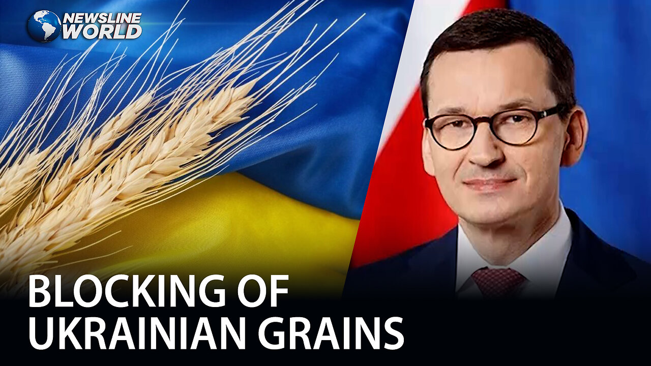 Polish prime minister to block Ukrainian grain imports