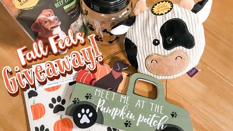 Fall Feels Dog Lovers GIVEAWAY! 🍂