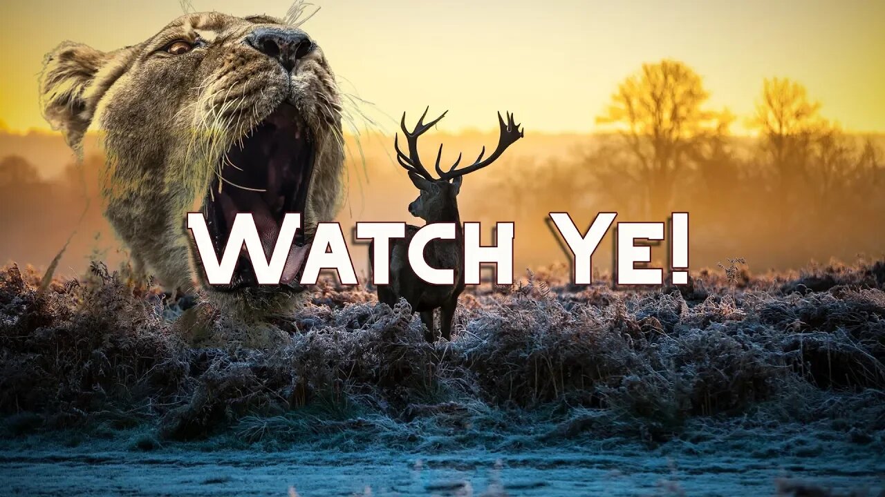 Reg Kelly - Watch Ye!