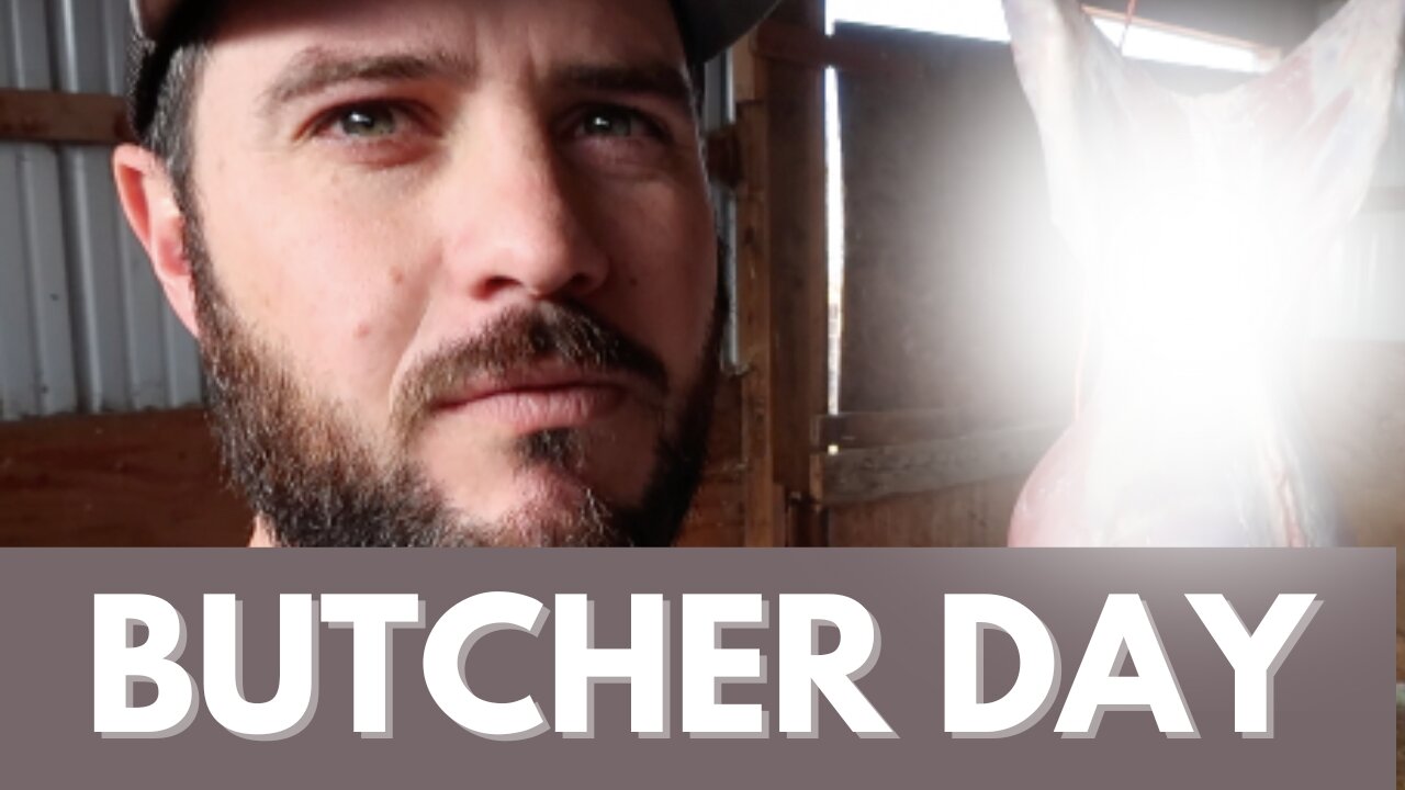 Butcher Day (And Good Eating to Follow)