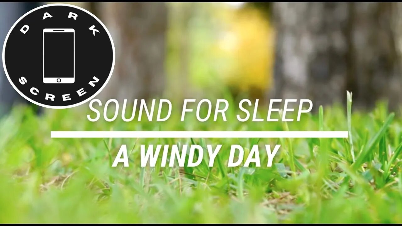 Sound for sleep a Windy Day on Dark Screen 3 hours