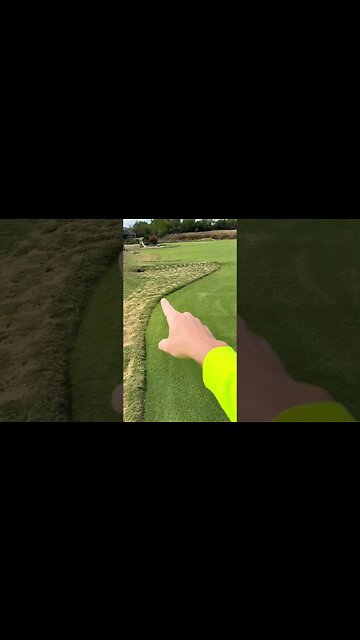 Leopard Print on Grass