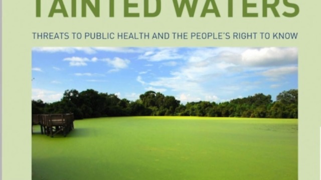 ACLU: State put public health at risk during 2016 algae crisis