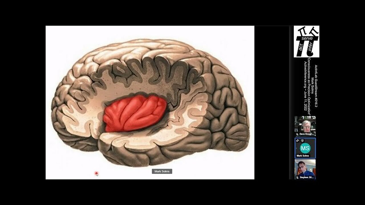 ActInf GuestStream #016.2 ~ Mark Solms "Consciousness as Precision Optimization"