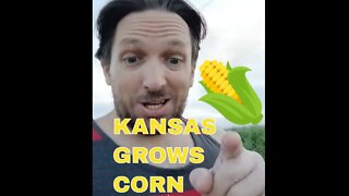 Why I Argue with Kansans🌽