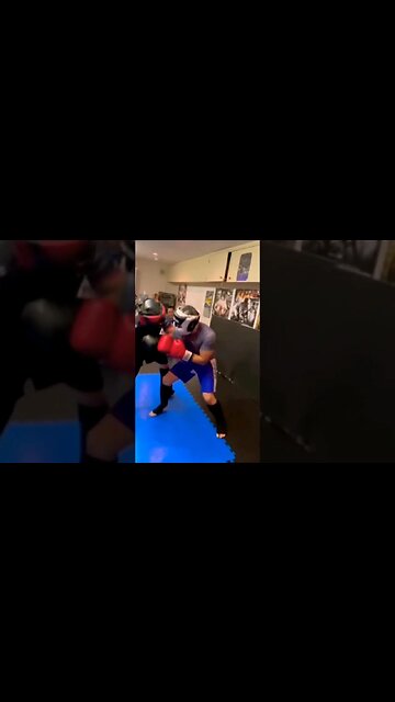 Sparring | AnthonyJ350