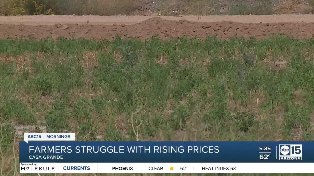 Growing costs leading to struggles for Casa Grande farm