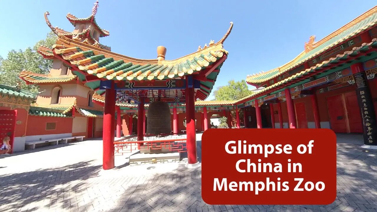 Glimpse of China at Memphis Zoo || 360 VR Video || Episode -6