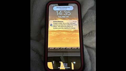 🎼🦁❤️🐑🤔🐑❤️🦁🎼