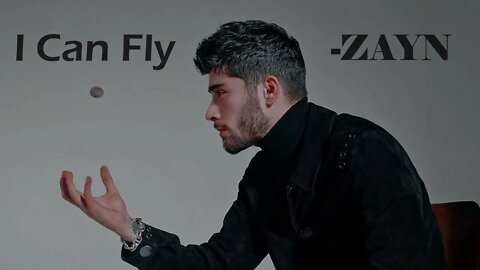 I CAN FLY - The Chainsmokers ft.ZAYN | Hollywood's Lyrics #29