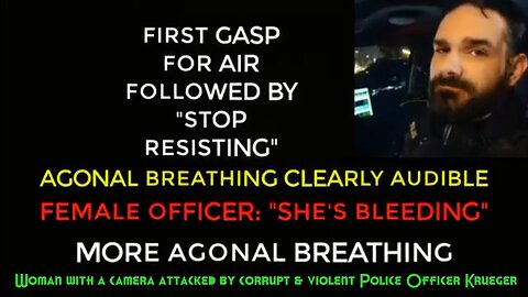 Woman with a camera attacked by corrupt & violent Police Officer Krueger
