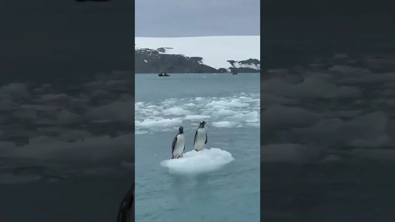 Sailing the seven seas