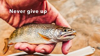 Gorgeous Brook in Mineral Creek, Silverton, Colorado on a Dry Fly #flyfishing #fishing