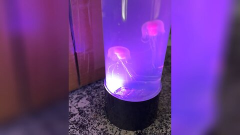 Jellyfish Lamp 🪼🪼🪼