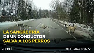 Salvación a último minuto en plena carretera