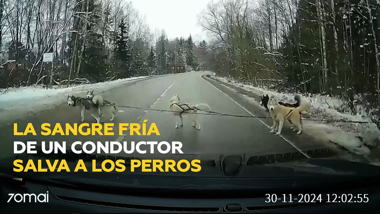 Salvación a último minuto en plena carretera