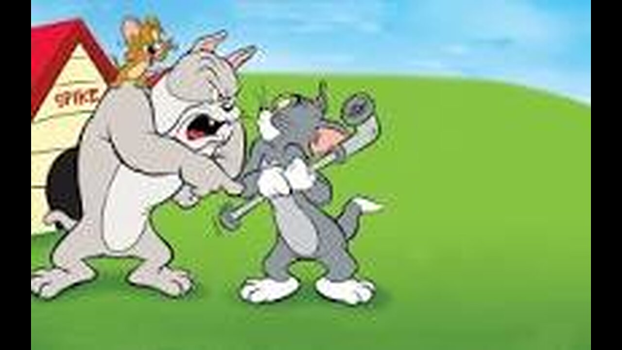 Tom and jerry funny fight