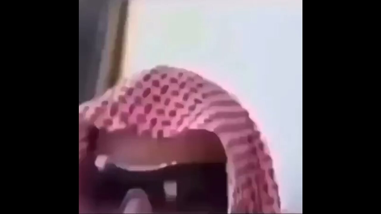 اللهم صلِ و سلم على سيدنا محمد
