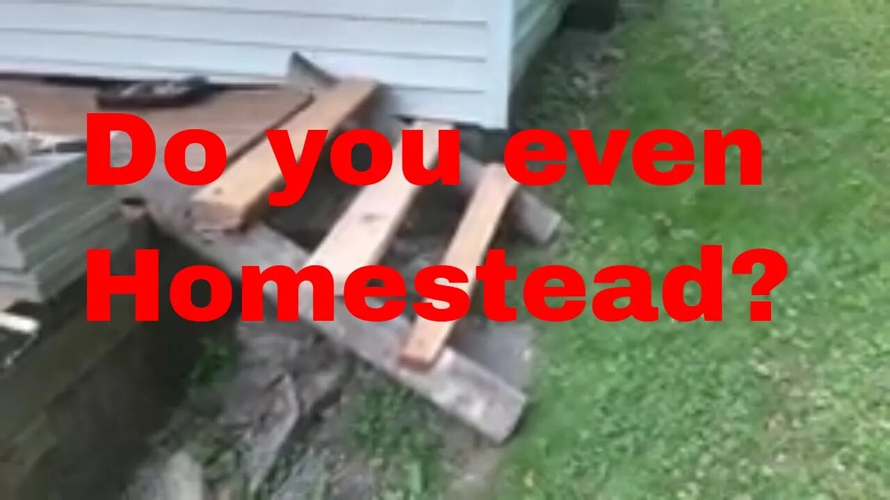 4 months as homesteaders, Please watch our progress. your mom watches us. #viral #smallchannel