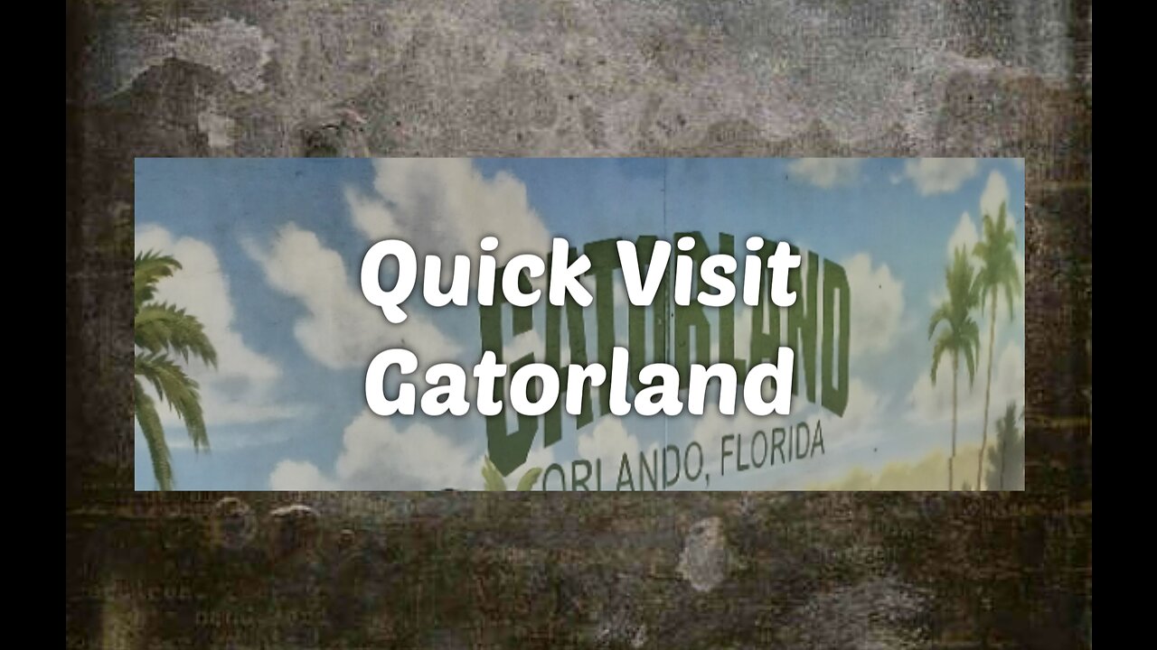 Quick Visit Gatorland