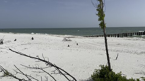 SWFL Shell Guide EcoVenture Tour (Widescreen) #Kayaking #ecoventure #Keewaydin #SWFLShellGuide #4K