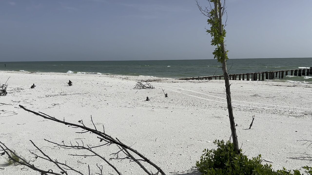 SWFL Shell Guide EcoVenture Tour (Widescreen) #Kayaking #ecoventure #Keewaydin #SWFLShellGuide #4K
