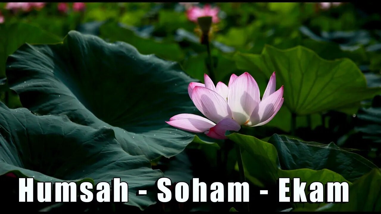 World Oneness Day ~ EKAM ~ THE SACRED ABODE OF THE COSMIC WOMB – HIRANYA GARBHA