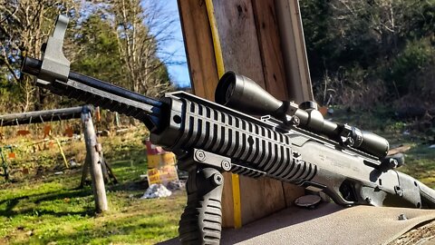Custom Hi-Point 995