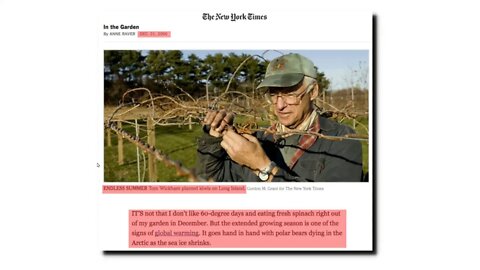 Endless Summer In New York