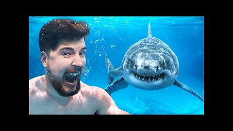 MrBeast challenge Would You Swim With Sharks For $100000