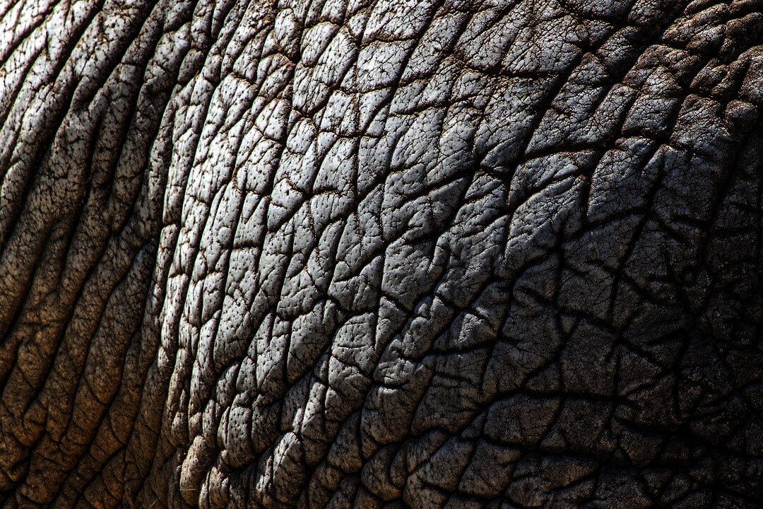 What If Your Skin Was Made of Rock?