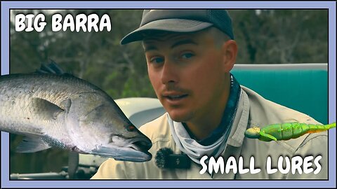 Big Barramundi | Light Gear