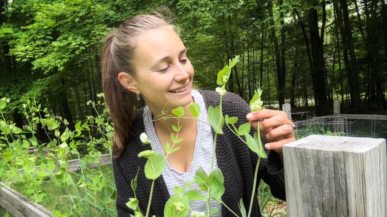 The Garden Changes so Fast this Time of Year | VLOG